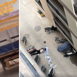 大利来园区 k89bet  最黑越南盘-白菜网论坛-白菜社区