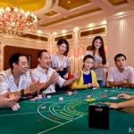 开元棋牌游戏常见问题及解决方案:您不可错过的实用指南-白菜网论坛-白菜社区